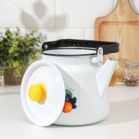 Чайник эмалированный сферический &laquo;Эквадор&raquo;, 3,5 л, цвет белый