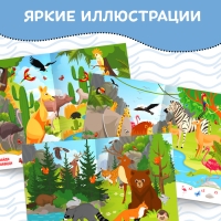 Книжка с маркером &laquo;Пиши-стирай. Найди и покажи&raquo;, 12 стр.