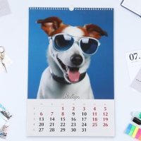 Календарь перекидной на ригеле А3 "Солнечные собачки" 2025, 32 х 48 см Календарь перекидной на ригеле А3 "Солнечные собачки" 2025, 32 х 48 см