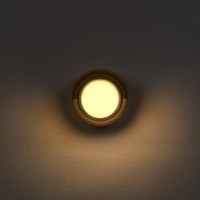 Светильник фасадный &laquo;Сити&raquo;, FSD-050, 5 Вт, 3000К, круг IP65, 220 В, пластик, черный