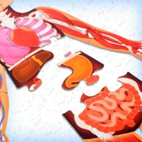 Набор &laquo;Моё тело&raquo;, мегапазл с обучающей книгой