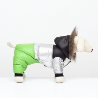 Комбинезон "Пушок", размер 16 (ДС 36 см, ОГ 46 см, ОШ 35 см), зелёный