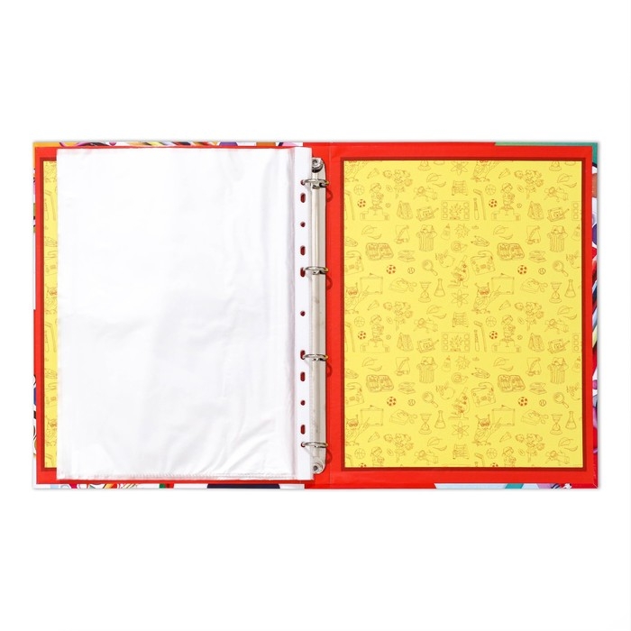 Папка школьная на кольцах &laquo;Портфолио школьника&raquo;, 10 листов-разделителей, 24,5 х 32 см.