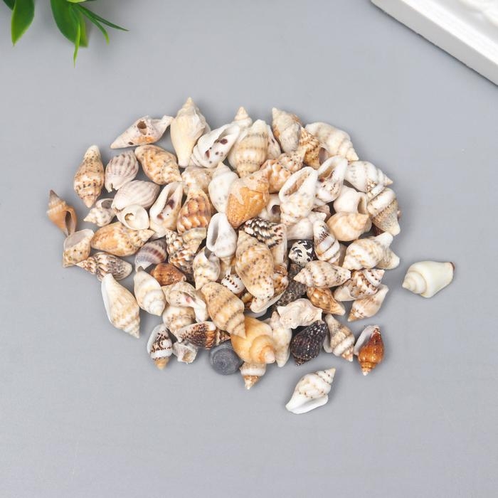 Ракушки декоративные "Nassa" 100 г &plusmn; 5 г 0.6-1.2 см