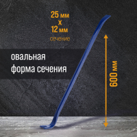 Лом-гвоздодер ТУНДРА, усиленный, 65 сталь, 600 х 25 х 12 мм Лом-гвоздодер ТУНДРА, усиленный, 65 сталь, 600 х 25 х 12 мм