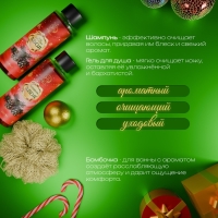 Новогодний подарочный набор косметики &laquo;Зимняя сказка&raquo;, с ароматом хвои и корицы. Красная серия