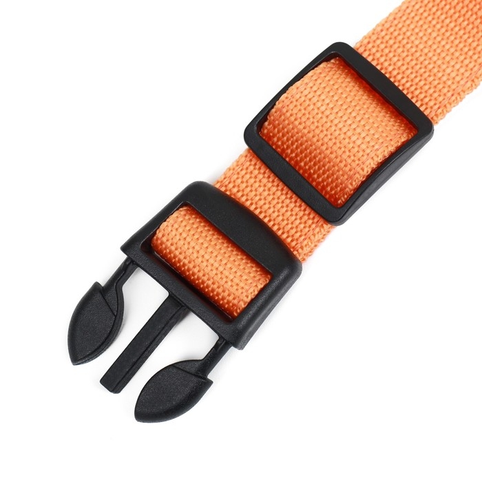 Ошейник с подсветкой Двойная полоса размер XL, ОШ 52-60 х 2,5 см 3 режима свечения оранж Ошейник с подсветкой Двойная полоса размер XL, ОШ 52-60 х 2,5 см 3 режима свечения оранж