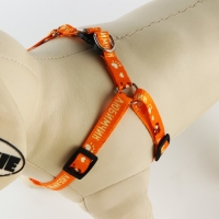 Комплект &laquo;Любимчик&raquo;, шлейка 24-34 см, поводок 120х1 см