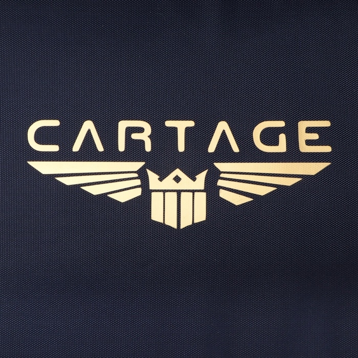 Термосумка Cartage Т-17, синяя, 18 л, 35х21х24 см