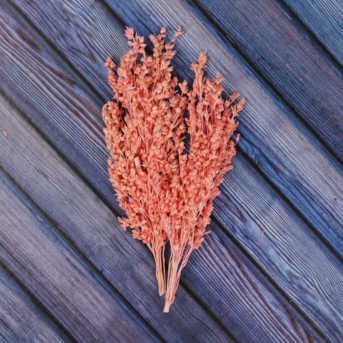 Сухие цветы сорги, 5 г, цвет розовый Сухие цветы сорги, 5 г, цвет розовый