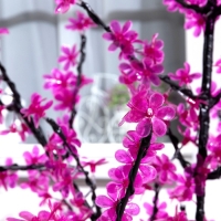 Светодиодное дерево «Баугиния» 1.5 м, 480 LED, постоянное свечение, 220 В, свечение фиолетовое Светодиодное дерево «Баугиния» 1.5 м, 480 LED, постоянное свечение, 220 В, свечение фиолетовое