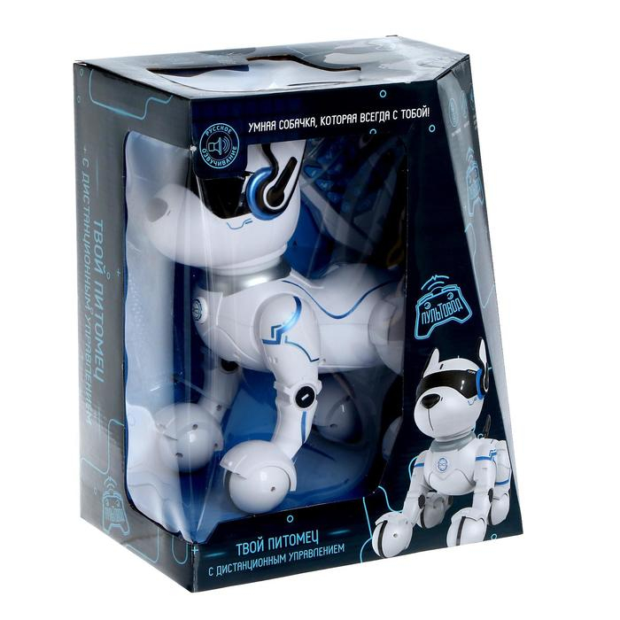 Робот собака &laquo;Фьючер&raquo; ZHORYA, на пульте управления, интерактивный: звук, свет, танцующий, музыкальный, на аккумуляторе