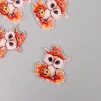 Декор для творчества акрил "Совёнок в шапочке с тыквой" 2,4х2,9х0,2 см