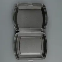 Ланч - бокс одноразовый, 24,7&times;20,6&times;3,5 см, 1 секция, чёрный