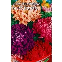 Семена цветов Астра пион. Апассионата смесь 80 шт