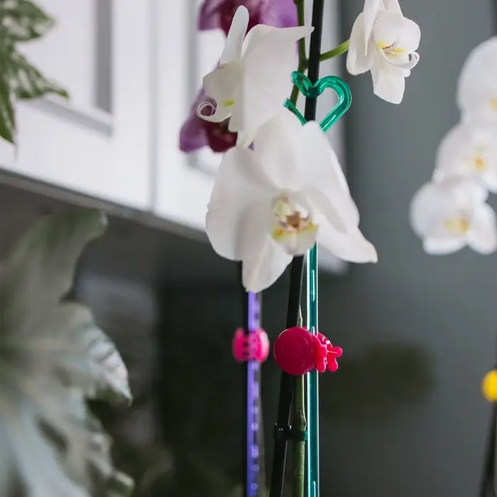 Опора для орхидей, h=44 см, пластик, бирюзовая, МИКС