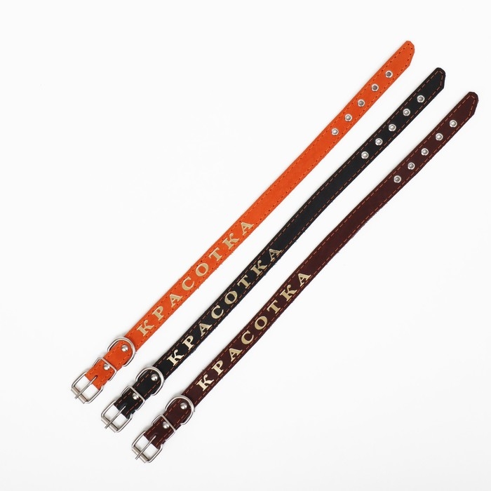 Ошейник кожаный однослойный, тиснёный  &laquo;Красотка&raquo;, 48 х 2 см, ОШ 32-43 см, микс цветов