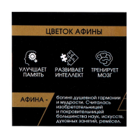 Головоломка деревянная Игры разума «Цветок Афины» Головоломка деревянная Игры разума «Цветок Афины»