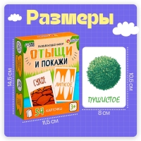 Развивающий набор &laquo;Отыщи и покажи&raquo;, 54 карточки, 3+