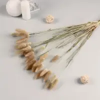 Сухоцветы &laquo;Лагурус&raquo;, h=65 см, (фасовка 30 шт., цена за 1 шт.), бежевые