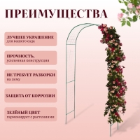 Арка садовая, разборная, 230 &times; 125 &times; 50 см, металл, зелёная, &laquo;Сетка&raquo;, Greengo