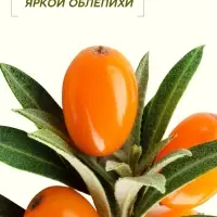 Мыло жидкое для рук, увлажнение и забота, аромат облепихи, 250 мл, Рябина