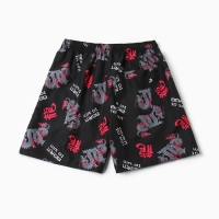 Купальные трусы мужские KAFTAN "Дракон", размер 48 Купальные трусы мужские KAFTAN "Дракон", размер 48