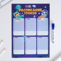 Расписание уроков &laquo;Животные в космосе&raquo; А4, многоразовое магнитное с маркером