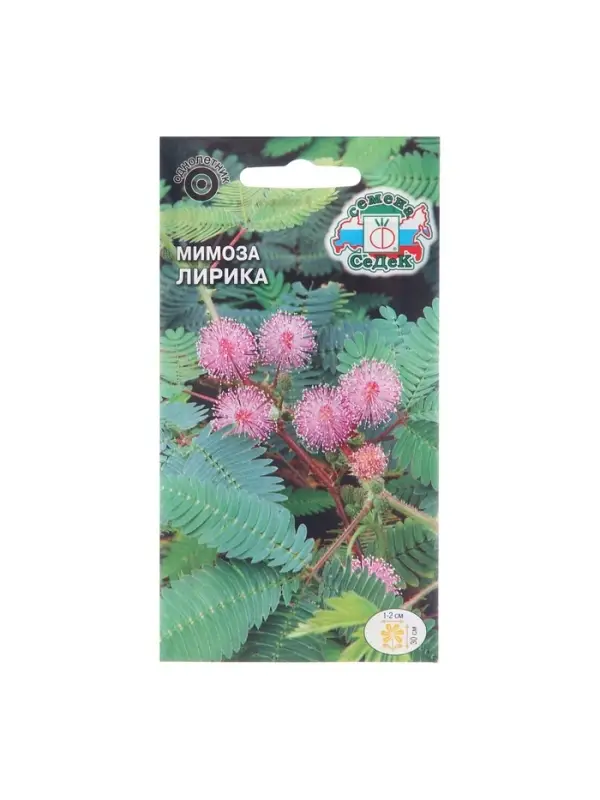 Семена цветов Мимоза "Лирика", стыдливая, розовая, Евро, 0,1 г