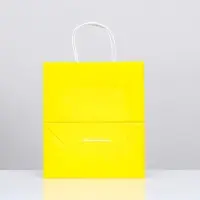 Пакет крафт &laquo;Радуга&raquo;, жёлтый, 22&times;12&times;25 см, 150 г/м&sup2;