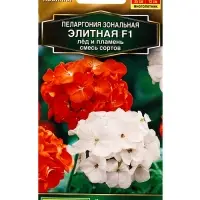 Семена цветов Пеларгония Элитная F1 лёд и пламень, смесь сортов Мн Золотая серия, Ц/П,5 шт.