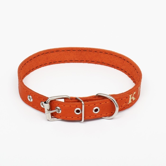 Ошейник кожаный однослойный, тиснёный  &laquo;Красотка&raquo;, 48 х 2 см, ОШ 32-43 см, микс цветов