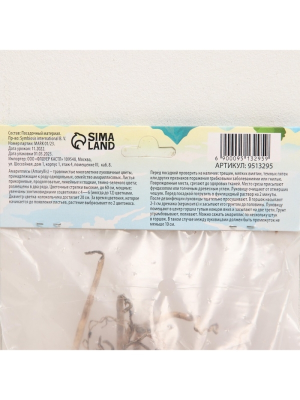 Амариллис Махровый Dancing Queen, многолетник, луковица, р-р 22/24, 1 шт.