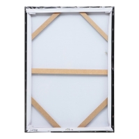 Картина- холст на подрамнике "Нагая"   50*70см