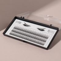 Набор накладных ресниц &laquo;Ласточкин хвост&raquo;, пучки, 12 мм, толщина 0,07 мм, изгиб С, 12 D