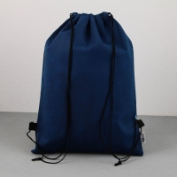 Мешок для обуви «Чемпион» нетканное полотно, размер 30 х 40 см Мешок для обуви «Чемпион» нетканное полотно, размер 30 х 40 см