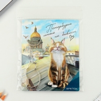 Брелок для ключей &laquo;Петербург&raquo;