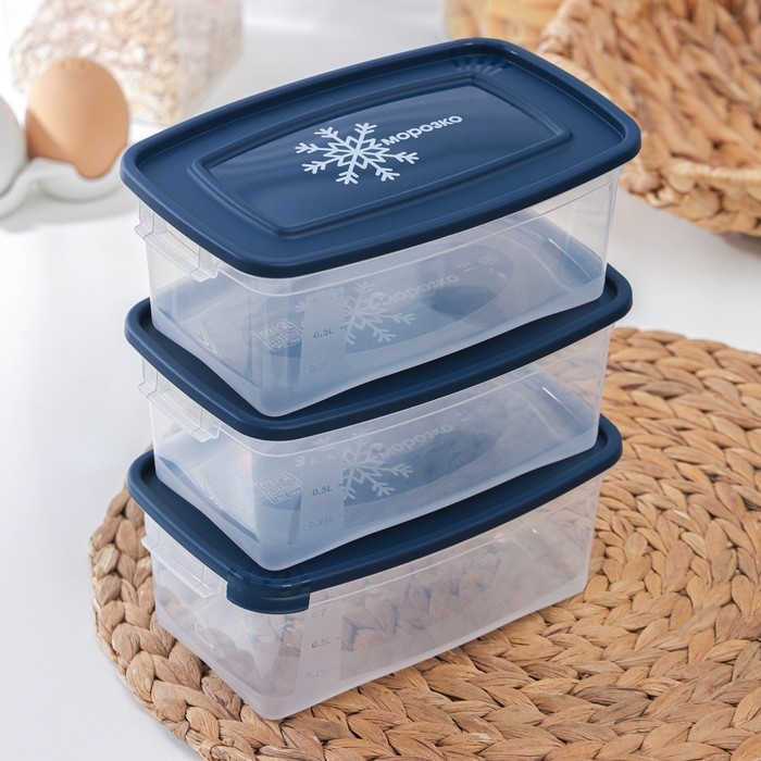 Набор прямоугольных контейнеров для замораживания продуктов &laquo;Морозко&raquo;, 1 л , 3 шт, прозрачные, крышки микс