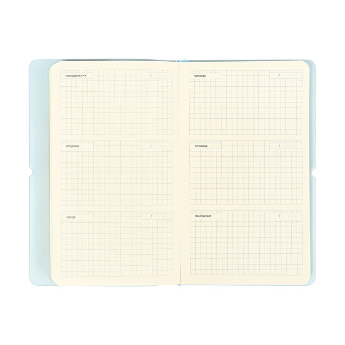 Планинг карманный недатированный, 80 листов, 100х170 мм, deVENTE.Jane, мягкая обложка ПВХ, на резинке, перфорация, ляссе, блок 70%, голубой