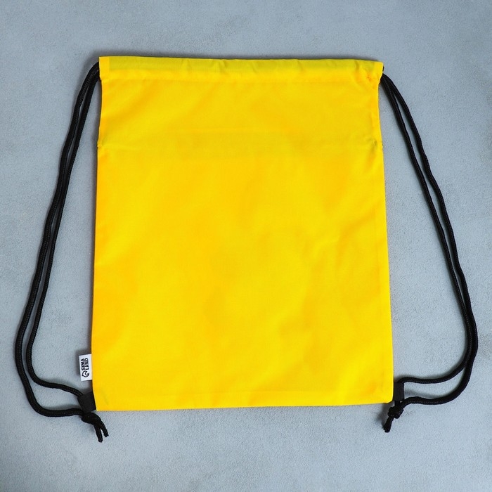 Мешок для обуви &laquo;Учусь на 5!&raquo; 2 секции, 30 х 40 см