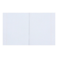 Комплект тетрадей из 5 штук, 48 листов в клетку Calligrata "АнимЭ", обложка мелованный картон, блок офсет