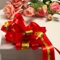 Бант-шар №7 Бант-шар №7