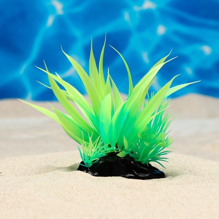 Растение искусственное аквариумное, светящееся, 10 см, зелёное Растение искусственное аквариумное, светящееся, 10 см, зелёное