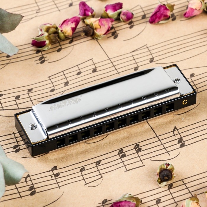 Губная гармошка Music Life T10-3 диатоническая, 10 отверстий, с футляром Губная гармошка Music Life T10-3 диатоническая, 10 отверстий, с футляром