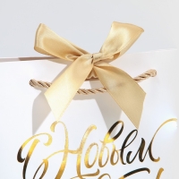 Пакет подарочный новогодний &laquo;White Snow&raquo;, 19 х 20 х 9 см, Новый год