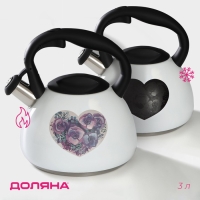 Чайник со свистком из нержавеющей стали Доляна &laquo;Сердце&raquo;, 3 л, с индикатором нагрева