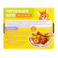 Тактильное лото &laquo;Что где растёт&raquo;, фрукты овощи, по методике Монтессори
