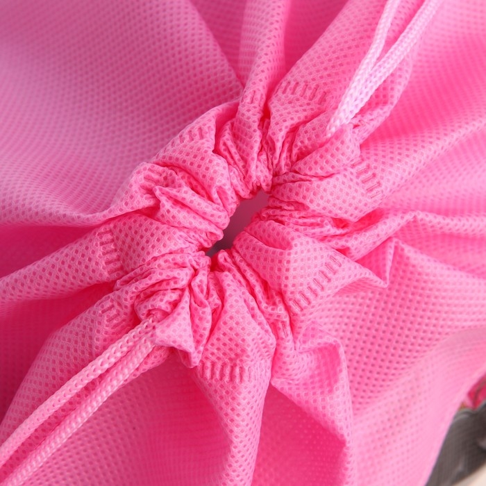 Мешок для обуви &laquo;Мир аниме&raquo; полиэстер, размер 30 х 40 см