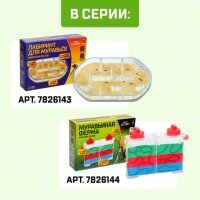 Набор для опытов &laquo;Лабиринт для муравьёв&raquo;