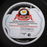 Сковорода &laquo;Надежда&raquo;, d=24 см, h=7,4 см, пластиковая ручка, антипригарное покрытие, цвет чёрный